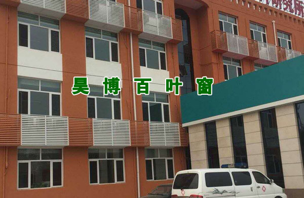 国产亚洲美女精品久久久百葉窗（chuāng）廠家空調罩安裝實例